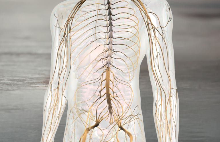 Neuraltherapie